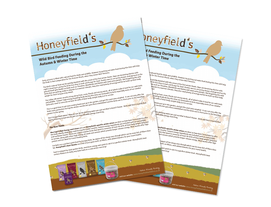 Discover and Learn Honeyfield’s Wild Bird Food and Care